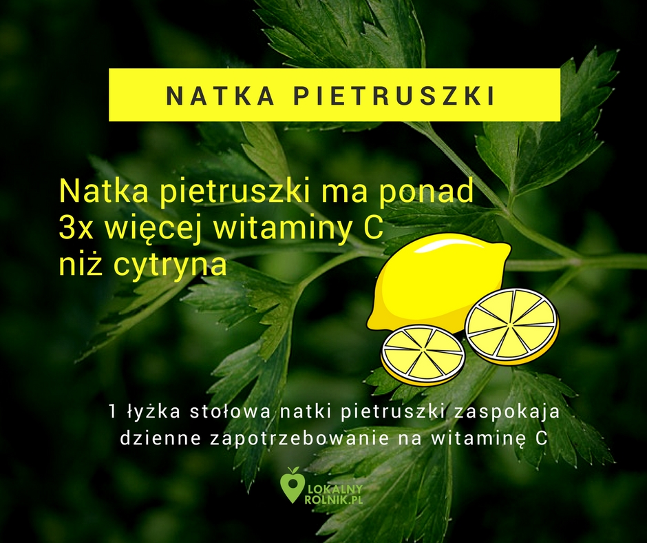 pietruszka_ciekawostki